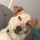 Daran Murphy's profile photo