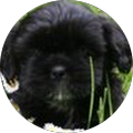 Avatar de Annemarie.e