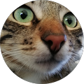 Avatar de Stéphane.u