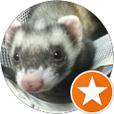 コイズミ（コイズミーズ）のプロフィール画像