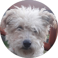 Avatar de Philippe.o