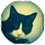 catherine lamoureux profile picture