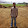 Punit Kumar's profile photo