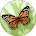 Askarita