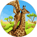 Amanda Bush's profile image