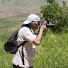 Photo of Adib El Nouri