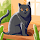 Joana Mendes's profile photo