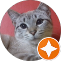 Avatar de cazaux.a