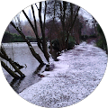 Avatar de grignon.r