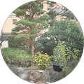 はなさんみっち