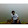 balaji ningale's profile photo