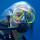 barkokhba's profile photo