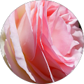 User profile - Monique Bounieux.