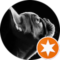 Avatar du profil de Marko Eesti