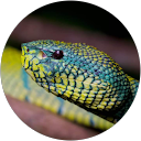 Amphibiland