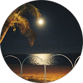 Broome Advertiser - Broome, Western Australia