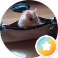 Reviewer Image
