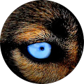 Avatar de NORDIK.U
