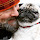 bengt....@gmail.com's profile photo