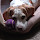 karenk...@gmail.com's profile photo