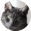 Avatar de gilles.h