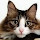 Ray's profile photo