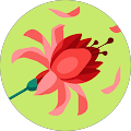 Avatar de martine.e