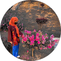 Bhat Tabu