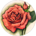 Avatar du profil de Mariarosa Sambusida