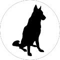 Dragon Internet Marketing - Riverside, Illinois
