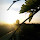 dilara acar's profile photo