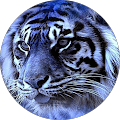 Avatar de StafLight.0