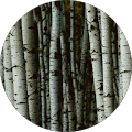 User profile - rhedd5.