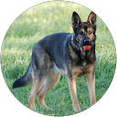 Tim Tingler's profile image