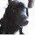 ME Jones's profile photo