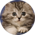 Avatar de Val.