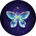 Sandra Steinke Energiearbeit Reiki-Meisterin und Reiki-Lehrerin - Flensburg