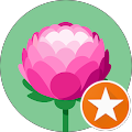 Peonie (☆ 4/5)