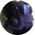 Avatar de carole.o