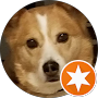 Google Maps Profilbild von junjun (jun)