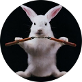 Avatar de Guillaume.a