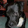 Charles's profile photo