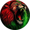 Avatar de Jalila.o