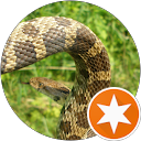 Linda Sutterfield's profile image