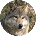 Avatar de Patricia.a