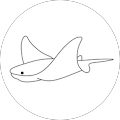 Navy Federal Credit Union - Mission Viejo, California
