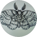 Skye Doran's profile image
