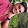 bandari venkatesh's profile photo