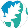 Juniper Wealth Management Ltd - Preston