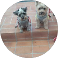 Avatar de Corinne.r